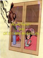 bài Tập đọc - Chú sẻ và bông bằng lăng | Ngữ văn, Lớp 3 - Ôn Luyện