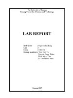 Bài báo cáo thực hành 1 môn lý thuyết mạch (Circuit Theory)