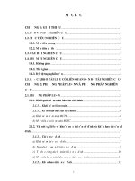 Luận văn - Phân tích thực trạng quy trình kiểm toán khoản mục tài sản cố định tại công ty liên doanh sản xuất bao bì Hồng Xuân