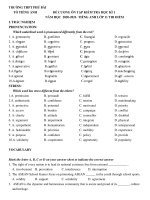 Đề cương ôn tập học kì 1 môn Tiếng Anh lớp 11 năm 2020 - 2021 THPT Phú Bài | Tiếng Anh, Lớp 11 - Ôn Luyện