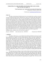 Ảnh hưởng của một số thông số kỹ thuật đến chất lượng trà túi lọc rau diếp cá