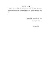 nghiên cứu quá trình xử lý Cr(VI) đồng thời oxi hóa chất hữu cơ sử dụng xúc tác quang hoá titan oxit mang trên chất mang al2o3 và gốm cordierite dạng viên
