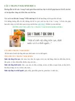 Câu 1 trang 7 SGK Sinh học 6 | Giải sinh học lớp 6 bài 1 trang 7 | Soạn Sinh 6