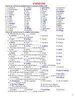 Bài tập ôn thi HKII tiếng Anh lớp 11 Cơ bản