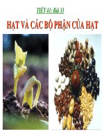 Hạt và các bộ phận của hạt