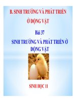 Sinh trưởng và phát triển ở động vật | Lớp 11, Sinh học - Ôn Luyện