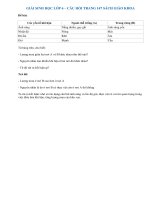 Câu hỏi thảo luận trang 147 SGK Sinh 6 | Giải bài tập sinh lớp 6 trang 147 | Soạn Sinh 6