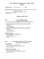 Đề cương ôn tập học kì 1 môn Sử lớp 11 năm 2020 - 2021 THCS Đinh Tiên Hoàng | Lớp 11, Lịch sử - Ôn Luyện