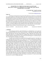 Ảnh hưởng của thời gian bảo quản nguyên liệu đến chất lượng của chitosan từ vỏ tôm thẻ chân trắng (Litopenaeus vannamei)