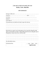 Mẫu đơn trình báo công an và hướng dẫn cách viết chi tiết