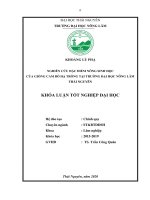 (Khóa luận tốt nghiệp) Nghiên cứu đặc điểm nông sinh học của giống cam Bố Hạ trồng tại vườn trường Đại học Nông lâm Thái Nguyên