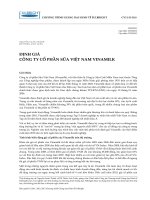 Bài đọc 11.1. Định giá Công ty CP Sữa Việt Nam Vinamilk