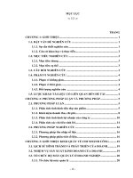 Luận văn - Phân tích tình hình tiêu thụ và lợi nhuận của Chi nhánh Công ty Cổ phần Lương thực - Thực phẩm Miền Nam tại Vĩnh Long