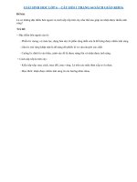 Câu 1 trang 64 SGK Sinh 6 | Câu 1 sgk trang 64 Sinh học 6 | Soạn Sinh 6