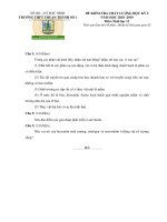 Đề thi HK2 Sinh học 11 năm 2018 – 2019 trường Thuận Thành 1 – Bắc Ninh - THI247.com