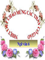 TIẾT 73:   VĂN BẢN  BÀI HỌC ĐƯỜNG ĐỜI ĐẦU TIÊN (TRÍCH: “ DẾ MÈN PHIÊU LƯU KÝ”)   TÔ HOÀI