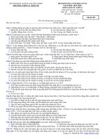 Đề thi học kì 2 Lịch sử 12 năm 2019 - 2020 trường THPT Lý Thái Tổ - Bắc Ninh - THI247.com