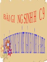 Thực hành vận dụng luật bảo vệ môi trường vào việc bảo vệ môi trường ở địa phương | Lớp 9, Sinh học - Ôn Luyện