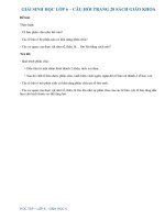 Câu hỏi trang 28 SGK Sinh 6 | Giải bài tập sinh lớp 6 trang 28 | Soạn Sinh 6