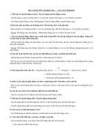 Câu hỏi ôn tập học kì 1 môn Vật lý lớp 8 có đáp án | Vật lý, Lớp 8 - Ôn Luyện