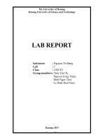 Bài báo cáo thực hành 3 môn lý thuyết mạch (Circuit Theory)