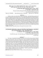 HIỆU QUẢ TÀI CHÍNH TRỒNG DỪA SÁP VÀ DỪA THƯỜNG TRÊN ĐỊA BÀN HUYỆN CẦU KÈ, TỈNH TRÀ VINH