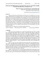 Đánh giá tình hình quản lý sử dụng đất tại các cụm công nghiệp ở thành phố Biên Hòa, tỉnh Đồng Nai