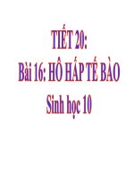 Hô hấp tế bào | Lớp 10, Sinh học - Ôn Luyện