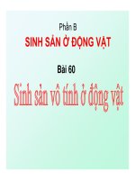Sinh sản vô tính ở động vật | Lớp 11, Sinh học - Ôn Luyện