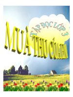 bài Tập đọc - Mùa thu của em | Ngữ văn, Lớp 3 - Ôn Luyện