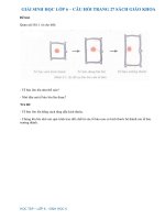 Câu hỏi trang 27 SGK Sinh 6 | Giải bài tập Sinh lớp 6 trang 27 | Soạn Sinh 6