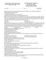 Đề thi học kì 2 GDCD 12 năm 2018 - 2019 trường Nguyễn Trãi - Hà Nội - THI247.com