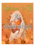 Sinh sản hữu tính ở động vật | Lớp 11, Sinh học - Ôn Luyện