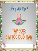 bài Tập đọc - Bím tóc đuôi sam | Ngữ văn, Lớp 2 - Ôn Luyện
