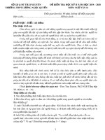 Đề thi học kì 2 môn Ngữ văn khối 11 năm 2019-2020 có đáp án - Trường THPT Lương Ngọc Quyến