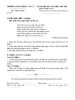 Đề thi học kì 1 môn Ngữ văn 11 năm 2019-2020 có đáp án - Trường THPT Lương Văn Cù