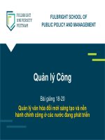 Bài giảng 18 - 20. Quản lý văn hóa đổi mới sáng tạo và nền hành chính công ở các nước đang phát triển