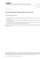 Câu hỏi Tình huống 2. Thị trường điện thoại di động ở Việt Nam