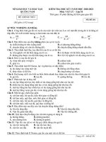 Đề thi học kì 1 môn Vật lí 10 năm 2020-2021 có đáp án - Trường THPT Sào Nam