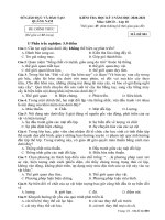 Đề thi học kì 1 môn GDCD 10 năm 2020-2021 có đáp án - Trường THPT Sào Nam