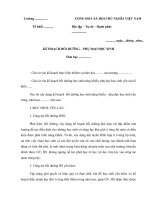 Mẫu kế hoạch bồi dưỡng phụ đạo học sinh