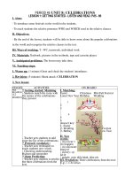 Tải Giáo án Tiếng Anh lớp 9 Unit 8 Celebrations - Giáo án điện tử môn Tiếng Anh lớp 9