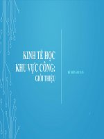 Kinh tế học khu vực công: Giới thiệu