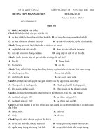 Đề thi học kì 1 môn Địa lí 10 năm 2020-2021 có đáp án - Trường THPT Phan Ngọc Hiển