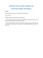 Bài 1 trang 161 sgk Sinh học 7 : Trình bày đặc điểm cấu tạo của dơi ...