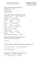 Tải Đề kiểm tra học kì II lớp 6 môn tiếng Anh trường THCS Phan Chu Trinh - Khánh Hòa - Đề kiểm tra tiếng Anh