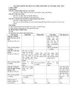 MA TRẬN KIỂM TRA HỌC KỲ I KHỐI 10 - NĂM HỌC 2020 2021