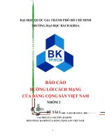 đường lối a02 nhóm 03 đề tài 1