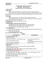 Tuần 13 giáo án lớp 3 soạn theo định hướng phát triển năng lực học sinh  