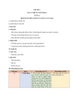 Giáo án Hoạt động trải nghiệm lớp 1 sách Chân Trời Sáng Tạo (Trọn bộ cả năm)